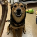 MAX - @max____song_ - Instagram