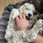 Max Song - @song_max_x - Instagram