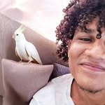 Maxson Gjay - @maxson_g - Instagram