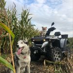 Max sørensen - @max_m_sorensen - Instagram