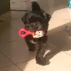 max_souzao - @max_souzao - TikTok