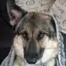 maxsouza453 - @maxsouza453 - TikTok