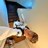Maxipad - @maxafore - TikTok