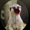 Max Sparrer - @maxsparrer - TikTok