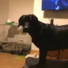 max.sparrow - @max.sparr0w20282 - TikTok