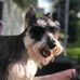 Max Spaulding - Facebook
