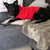 Max Spector - @max.spector - TikTok