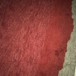 Max Spector - @maxobeast - Instagram