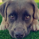 Max Speer - @downwardog_max - Instagram