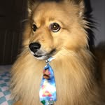 Max - @_max_spitz - Instagram