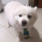 Max - @maxspitz10 - Instagram