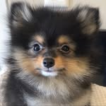 Max Spitz - @maxlindospitz - Instagram