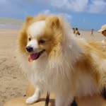 Max Spitz - @maxsplits - Instagram