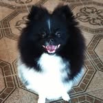 Max Spitz - @souomaax - Instagram