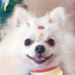 Max Spitz - @maxspitz18 - Instagram