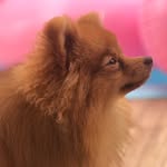 Max spitz - @spitzmax_ - Instagram