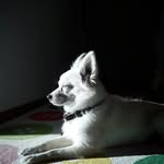 Max Spitz - @max.the.spitz - Instagram