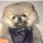 Max Spitz Bório - @maxspitzborio - Instagram