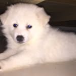 Max.Spitz - @max.spitz - Instagram