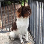 Max - @max_springer2020 - Instagram
