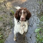 max the springer - @maxthemadspringer - Instagram