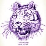 Max Spurlock - @keketcat - Instagram