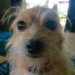 max Stabler - @maxastabler - Instagram