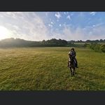 Max - @max.stacy2021 - Instagram