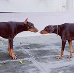 Stacy & Max - @times_of_stacy_and_max - Instagram