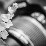 Max Stafford - @maxstaffordphotography - Instagram