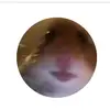 Max Stahl - @max.s92 - TikTok