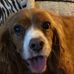 Max Standar - Facebook