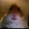 user3219047744639 - @standart_max - TikTok