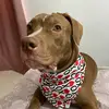 max_stanford18 - @max_stanford18 - TikTok