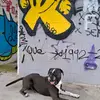 Max Stanford - @max.stanford - TikTok