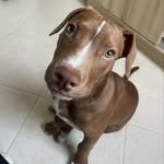Maximiliano - @max_stanford18 - Instagram