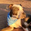Max.Stanfordblue - @max.stanfordblue - TikTok