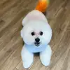 Maxs Pet Market-Starkey Ranch - @maxs.starkeyranch - TikTok
