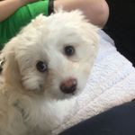 Max Starr - @max.starr.102 - Instagram