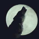 max starr - @maxstarr1234 - Instagram