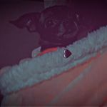 Max diamond Stauffer - @max_diamond_superhero - Instagram