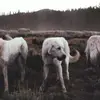 maxstauffer0 - @maxstauffer0 - TikTok