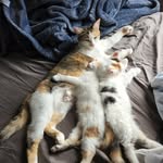 @max_stclair56 - Instagram