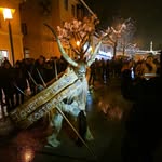 MaxSteinhauser - @maxsteinhauser - Instagram