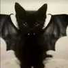 Max - @maxs_tierwelt1 - TikTok