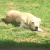 maxs_tierwelt - @maxs_tierwelt - TikTok