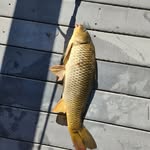 Max Stoller - @max.fishing1 - Instagram