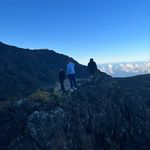 Max Stone - @maxstone808 - Instagram