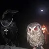 Max Straub - @max.straub7 - TikTok