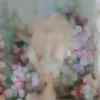 Max Stuart - @samir_turner386252 - TikTok